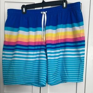 Chubbies Striped Swim Shorts- M, XXL